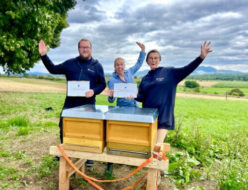 beefuture – Ein Projekt für nachhaltige Bienenhaltung
