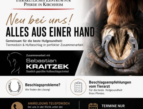 Neu bei uns: Alles aus einer Hand!