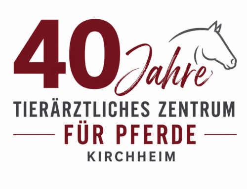 🎉 40 Jahre – wir öffnen unsere Türen und feiern mit Euch! 🐴❤️